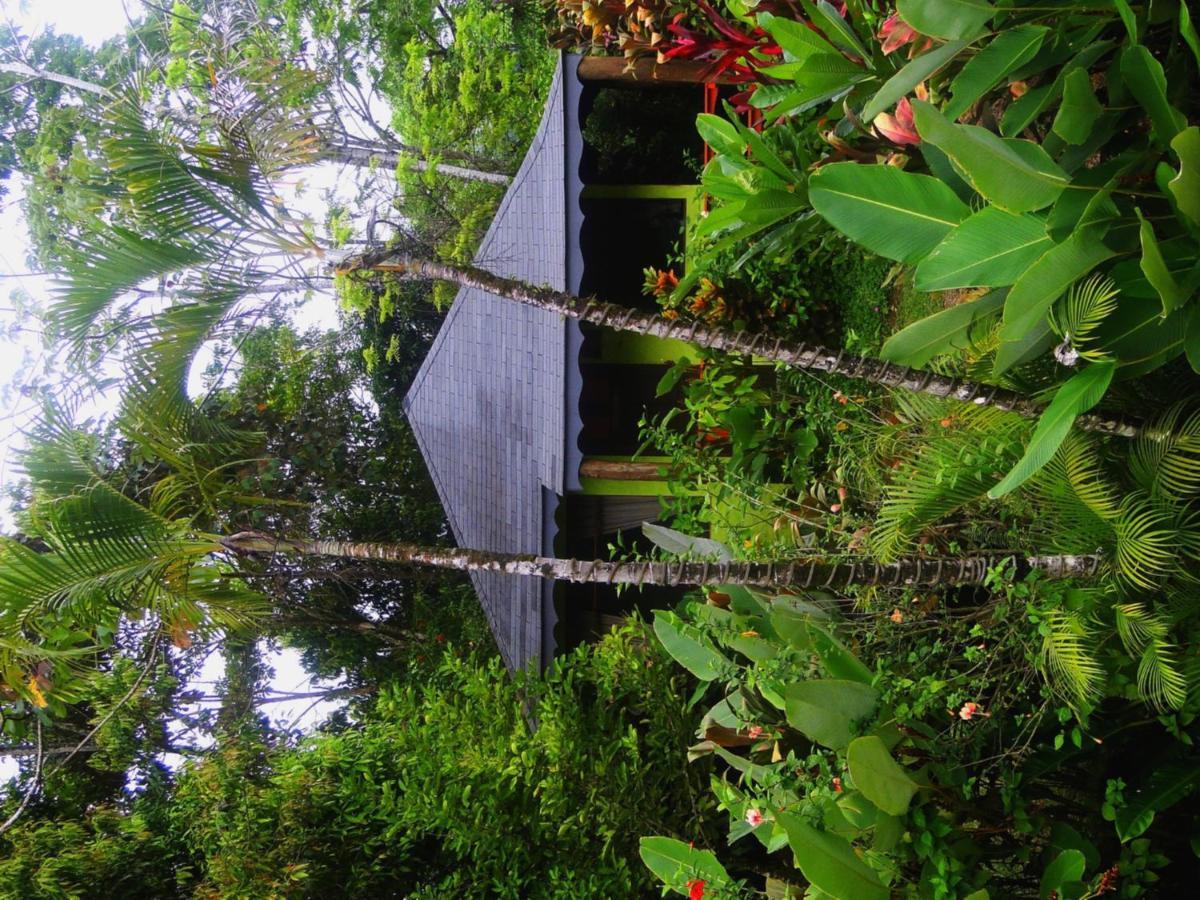 Dos Casitas Villa Ojochal Dış mekan fotoğraf