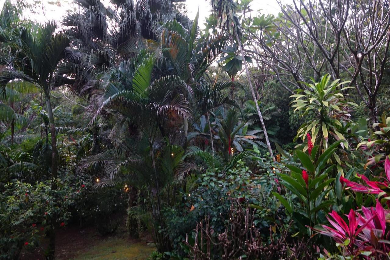 Dos Casitas Villa Ojochal Dış mekan fotoğraf