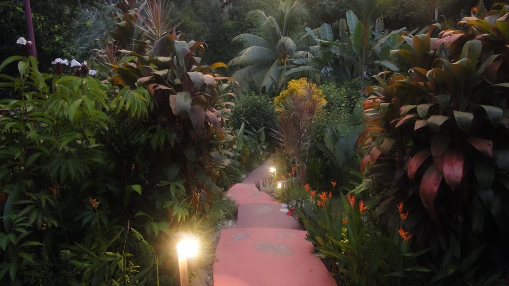 Dos Casitas Villa Ojochal Dış mekan fotoğraf